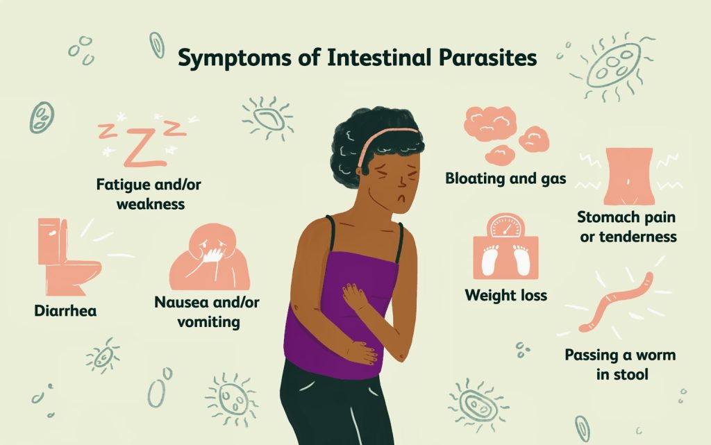 stomach Worms and GI tract